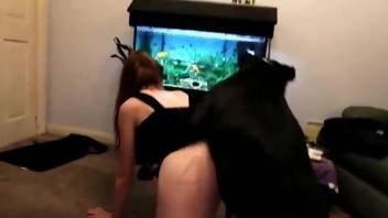Perky booty zoophile happily fucking a VERY dominant dog