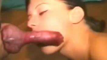 Wonderful blowjob video with a bunch of zoophiles