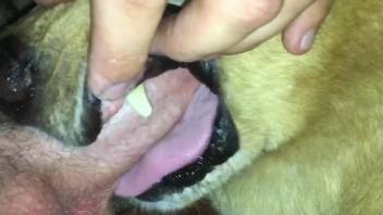 Vicious throat-fucking bordering on animal abuse