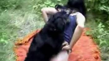 Dark-haired woman engages in zoophilic intercourse with a ebony canine