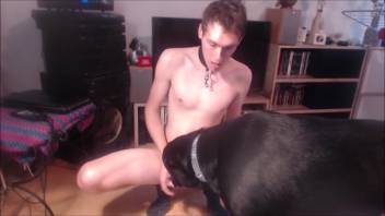 Leashed bestiality-loving young guy desires to be penetrated by a canine