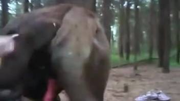 Slender girl gets on hands and knees to deeply penetrate a dog