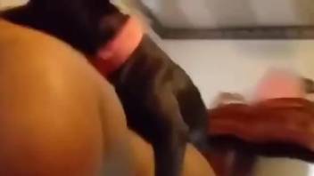 Aroused female tapes herself being humped by her dog