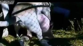 Nasty caged slut getting fucked by a horny animal
