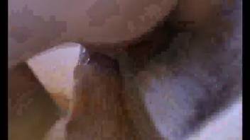 Slim babe with shaved vagina and her dog in explicit video