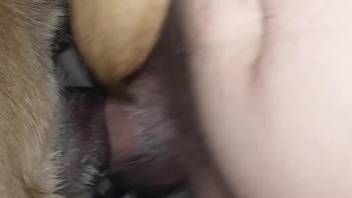 Chubby guy enjoying hot sex with a dirty beast