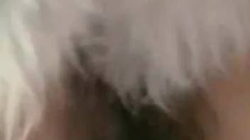 Hot babe in fishnets gets brutally pounded by a pooch