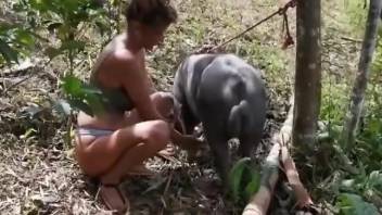 Latina chick jerking an animal's dick outdoors