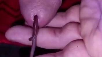 Dude inserts a worm into the penis before masturbating on cam