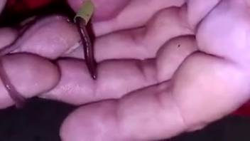 Guy sticks a worm into his cock before jacking off on webcam