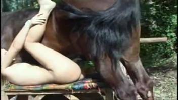 Busty Latina sucks on equine dick and gets screwed as well