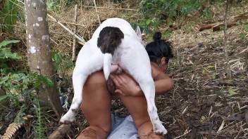 Latina babe tries heavy fucking with the dog