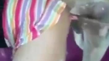 Narrow petite pussy overpowered by a massive-cocked beast