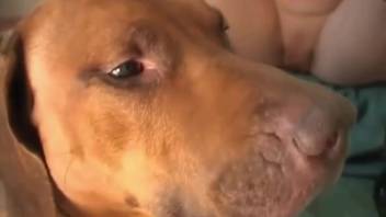 Lively-assed blond chick in rubber outfit gets banged by a canine