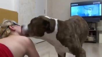 Dog ass licks woman and fucks her pussy hard