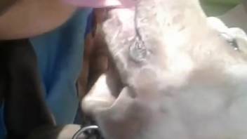 First-person oral sex video with an incredibly hot beast