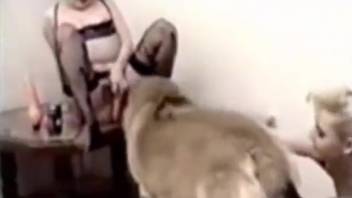 Pair of bestiality-loving female friends screwing the identical animal