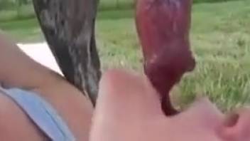 Powerful canine dick satisfying her eager lips during hot outdoor fetishes