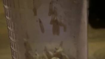 Parasites arouse guy's cock while he's jerking off on webcam