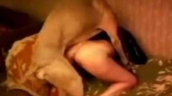 Big-breasted retro housewife happily fucks her collared doggo