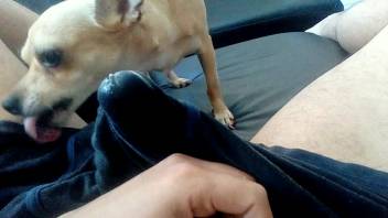 Dude's package being slurped in a first-person view adult flick