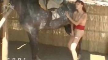 Redheaded zoophile getting destroyed by a hung horse