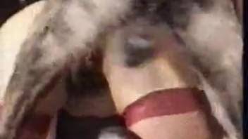 Petite-breasted stunner offers her unshaven snatch to a large stud dog
