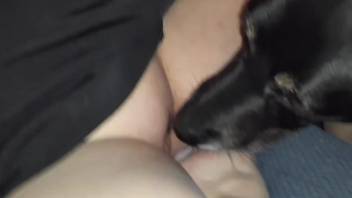 Sexy dog using its tongue to pleasure that wet cunt