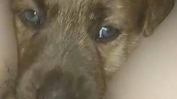 Blue-eyed animal showing its deepthroat prowess in POV