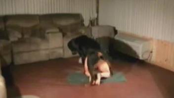 Curvy ass whore taped when being fucked by the dog