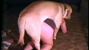 Naked woman pounded doggy style from the back and drenched in cum