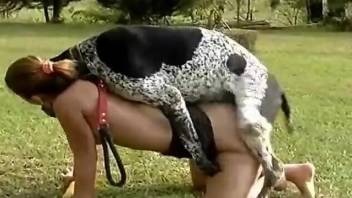 Helplessly horny bitch getting banged by a doggo