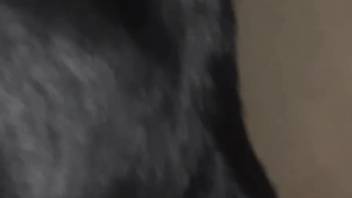 Sexy beast relishing rough intercourse in a steamy clip