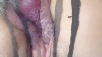Rear entry sex film featuring multiple detailed internal cumshots