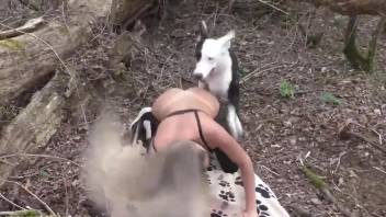 Awesome zoophile getting fucked in the woods