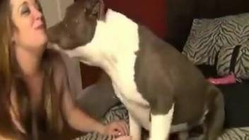 Dog makes housewife very happy by fucking her big time
