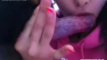 Dark-haired woman orally pleasuring a canine's penis close to the camera