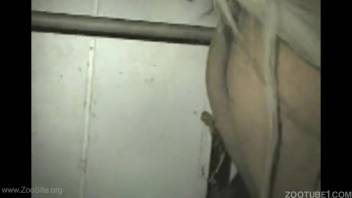 Collection of mare cunt pounding by top cocks