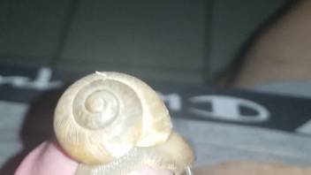 Steamy slug craves to dwell beneath that guy's prepuce