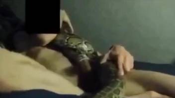 Dude uses his cock to fuck a sexy snake and it's great