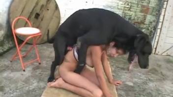 Tiny Latin slut gulps canine cum after outdoor banging