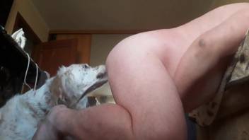Guy enjoys the fluffy canine arousing him in those messy, wet encounters