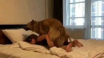 Sexy dog lets this blonde worship its throbbing dick