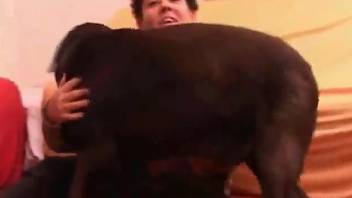 Big boobies babe getting screwed by a black dog