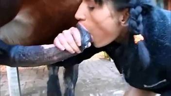 Dark-haired female performs fellatio on a horse and consumes its ejaculate