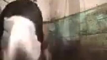 Sexy animal enthusiast leans forward to be fucked by a stallion