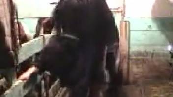 Sexy beast thrusting its cock into a lustful dude