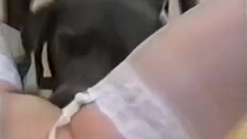 Dark-haired woman in white outfit screwing a naughty pup