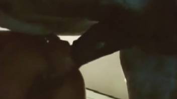 Stunning adult video showcasing a massive horse dick and a slut