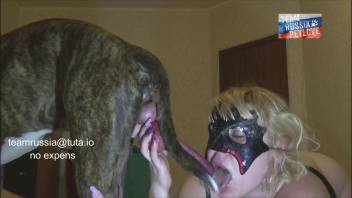Fair-haired woman relishing steamy thrusting with a lustful canine